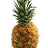 Stupid Pineapple Vs. Hare 8th Grade Test Question Not THAT Stupid